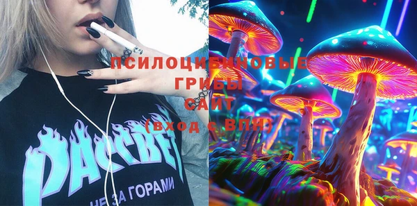 гашик Белокуриха