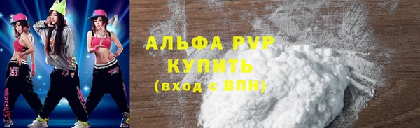 гашик Белокуриха