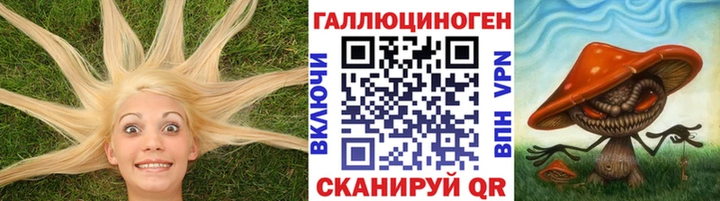 mega зеркало Ельня Псилоцибиновые грибы мухоморы