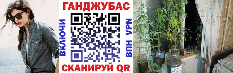 Конопля сатива Ельня